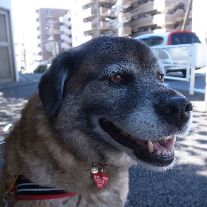 5e86ba31 72f1 42ef a386 8cc54b5a9bbe 1605225944454