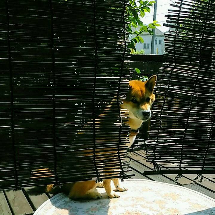 5e8747b0 37b2 4828 9fbc bbd3a12c4e9c 1564376173169