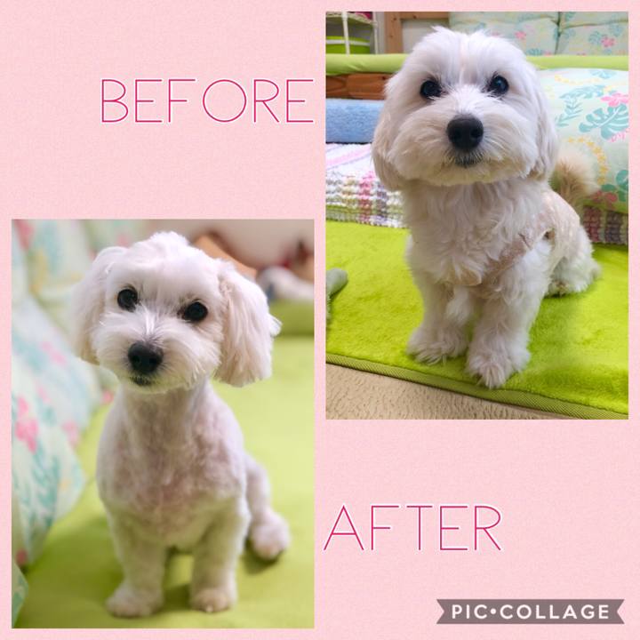 5e874b04 cbb2 49d9 9ca9 9fac79d79ea4 1577603328498