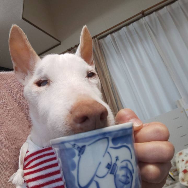 5e875e8c a40f 4b1d a626 d3f9971e6ad6 1607384240236