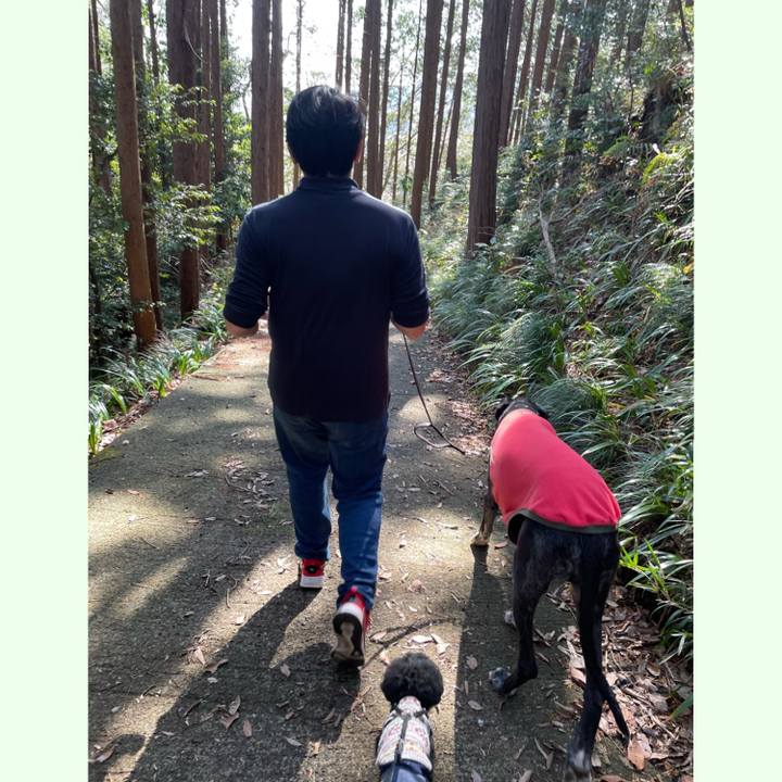 5e87b163 5027 45cc 8021 8c25b46f3f78 1615699266792