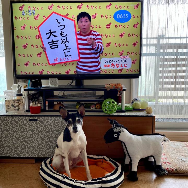 5e87d9d6 6168 4de0 963f 2dd4d8ffdb2a 1621808186413