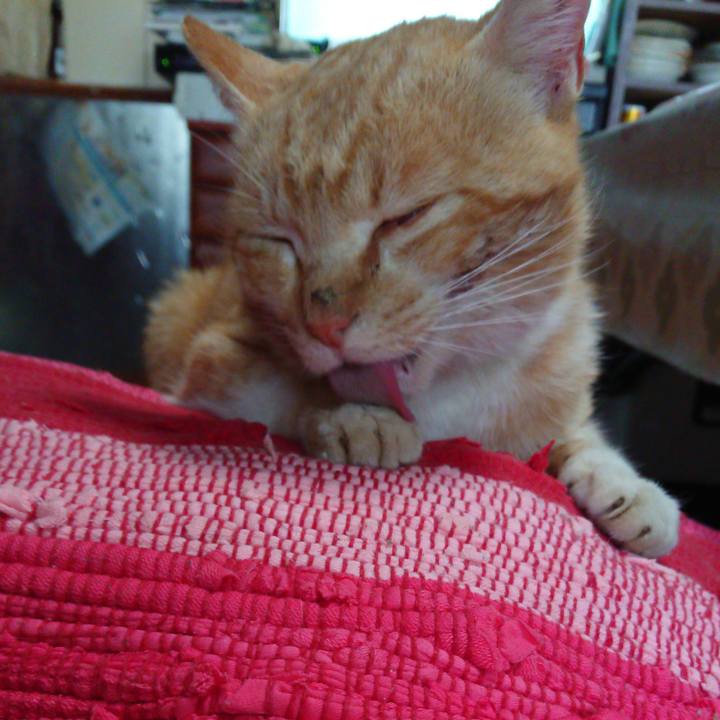 5e87f282 eefc 4f48 863f b92dfd34bd37 1555113364337