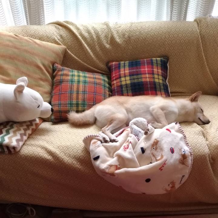 5e883aa5 b92f 422b bc98 2c571d65d51d 1541550401473