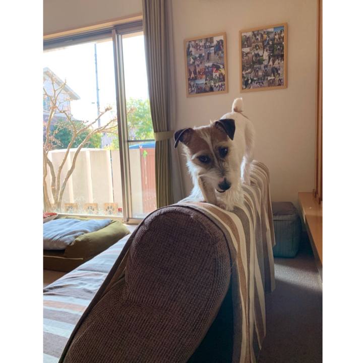 5e887b73 5b49 4b3e abdc e5a1422eb925 1585183242696