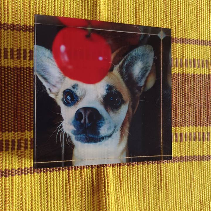 5e8895b4 5d10 4cb3 8b89 2cd7a1de1f9f 1750108192447