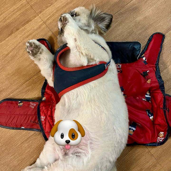 5e88ff16 9c58 44bf bca5 7f589ca76de1 1766825551781