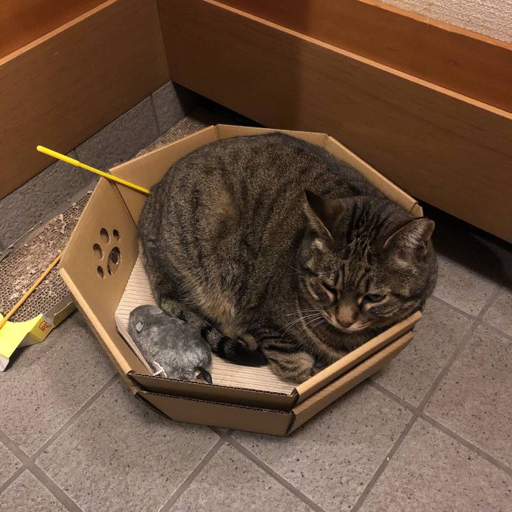 5e890902 ee99 4b9d 92e3 352e1ea20198 1551520496480