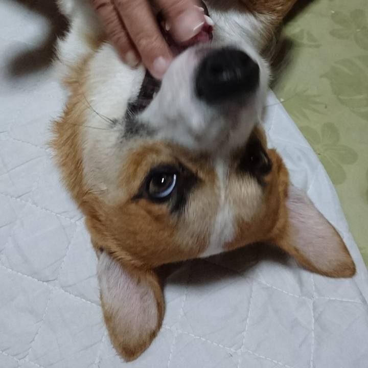 5e8947b2 6fdf 493b b0fe d94c875a0996 1570190703006