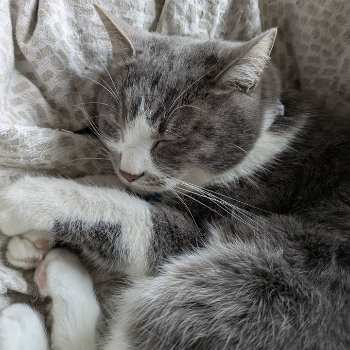 5e8948f1 bb72 4f23 a4f6 9e7ff5aeb28d 1768956842169