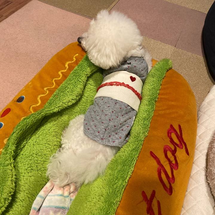 5e89795d 6dc8 49c4 8ac6 db0a705ce7e9 1765960159759