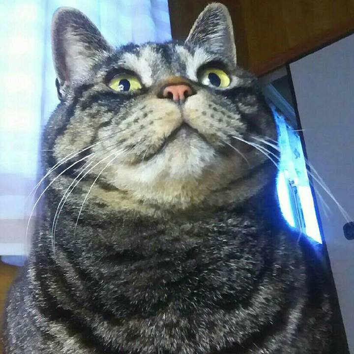 5e897ca8 5ea4 45e4 87da 71a0e2f37a49 1617616035468