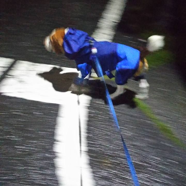 5e89ca27 7aeb 4118 9308 e0d1a5490dc6 1602333372101