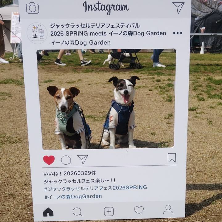 5e89d7ef 11bb 43b5 b60a c4c8cf5af789 1774842713725