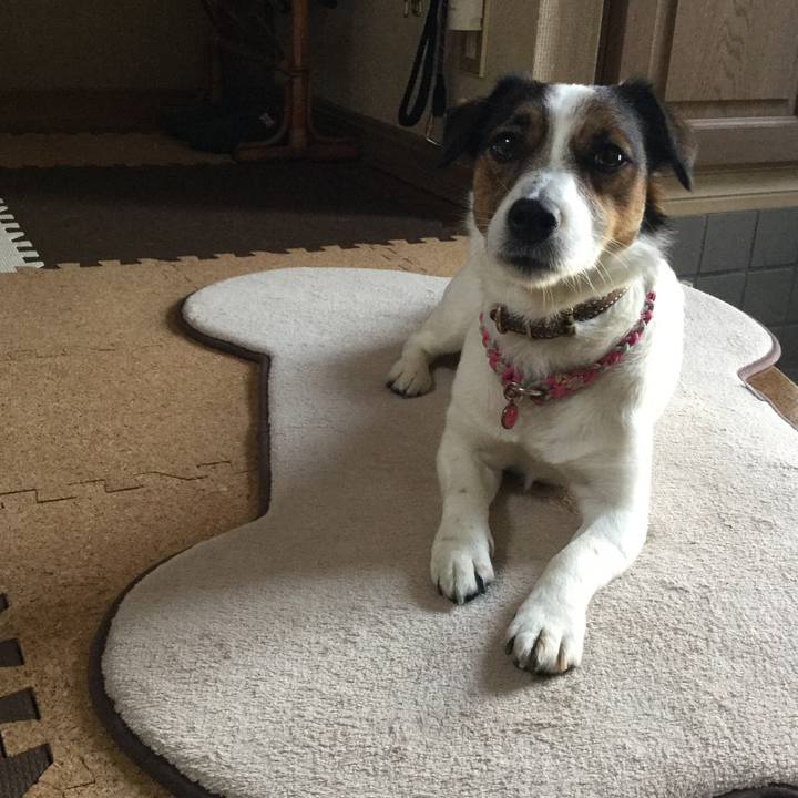 5e89dc9a cef5 4bd0 beb3 c874ee4346d5 1526026946496