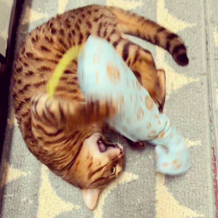 5e89dee6 20f9 4bbe b8d6 ece2804ac607 1639538176624