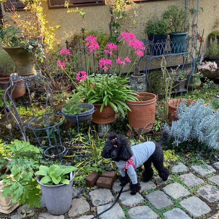 5e89f392 af16 430d 9855 ff3f4df59287 1639040175158