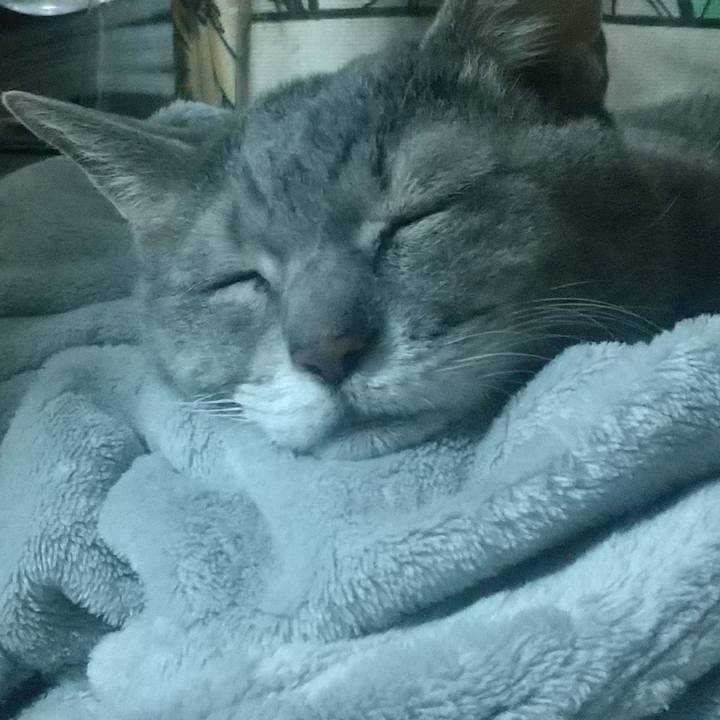 5e89f3dd 48f7 44ce 90ea afa80d8bc1fc 1697723017018