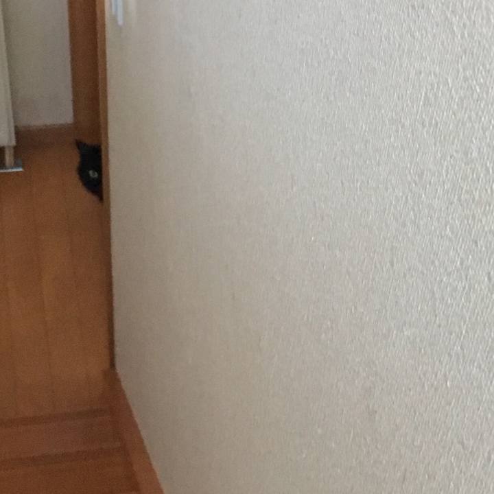 5e8a41ac 4dda 4e4b 9575 0c3a2c8fa3ab 1517705402925