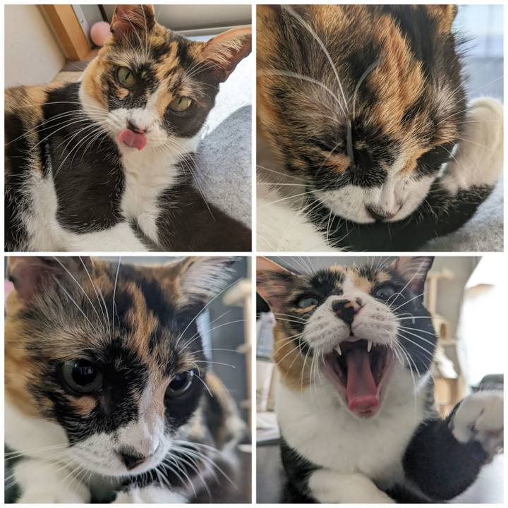 5e8a4334 d916 4059 96f2 8c21829c9295 1694146299498