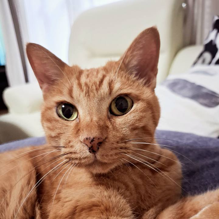 5e8a5560 2e2a 4609 858c 32d5f0dff3b3 1729305476364