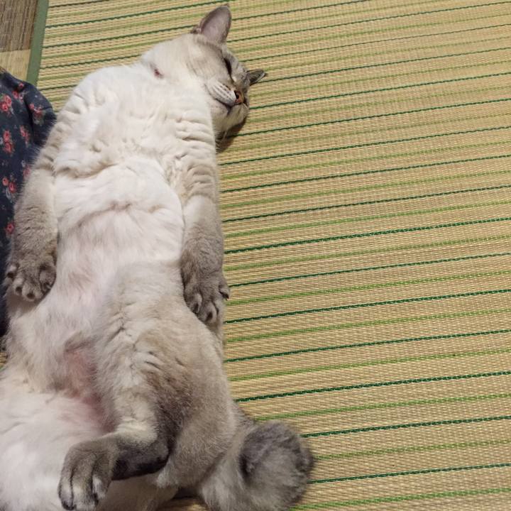 5e8a9ca9 a4a6 483c bce9 f22989db921c 1536925436824