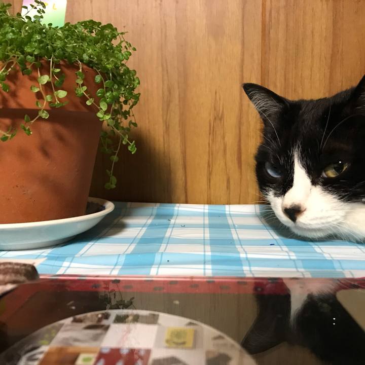 5e8a9ce1 d37e 4479 901c 4eaca430bae7 1590576071081