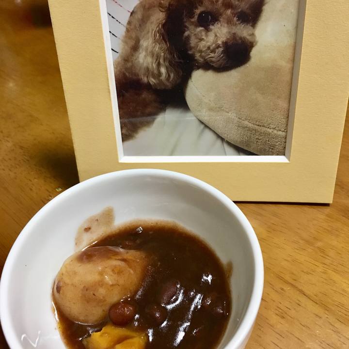 5e8aa7f9 6d30 44aa 86d3 e43d52612662 1576933467761