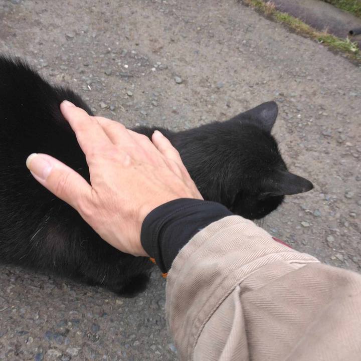 5e8ab1fd 7d4d 49a2 a928 b566e1f0cd9f 1699580161204