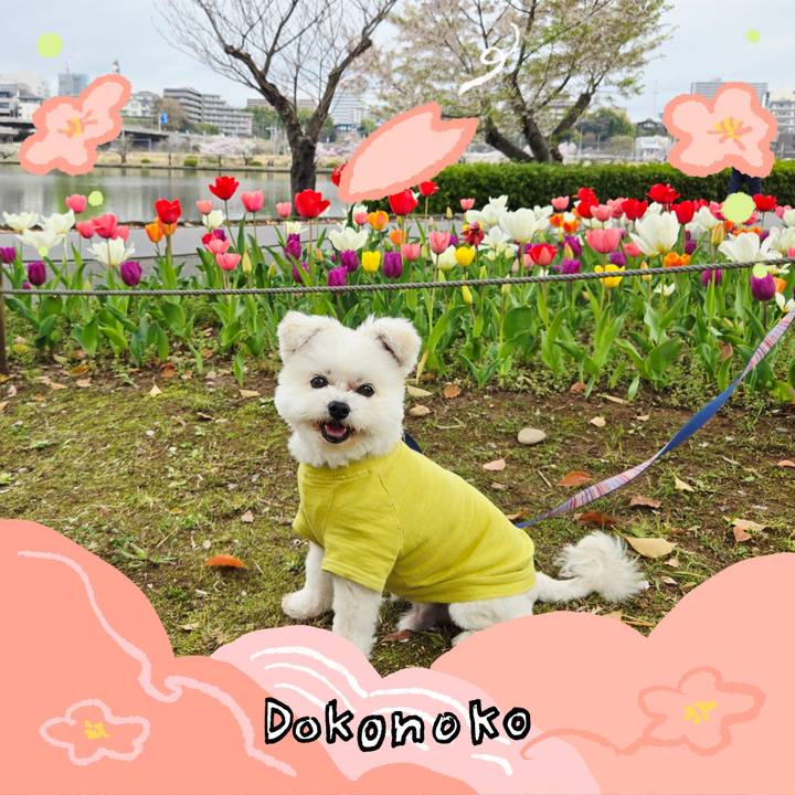 5e8abc6d b6c9 4a49 8d4b fa5bd9ad7198 1775475940756