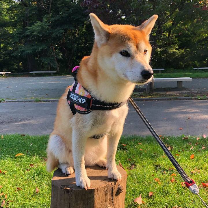 5e8ad60f 125e 42c1 a15d be3e3e9c79b8 1569979613698