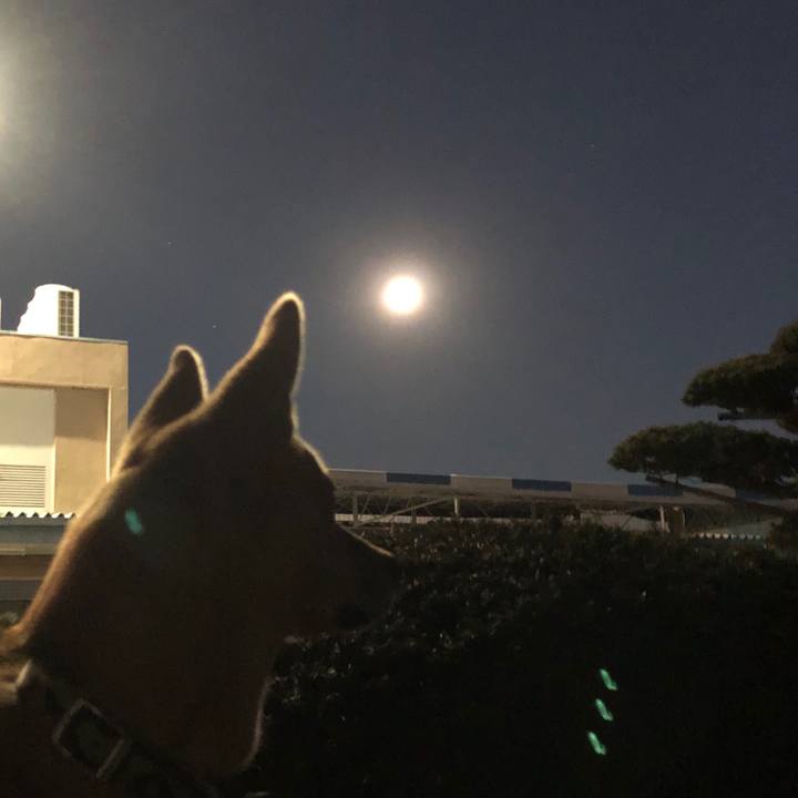 5e8ae8de 57bb 45c5 9d73 d6057027a0fa 1547973939872