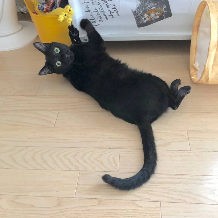 5e8b02b6 428d 4376 b9a9 ae6f91c753d3 1571654588026