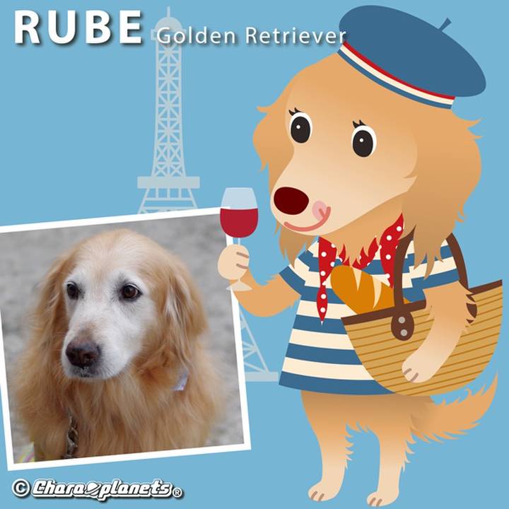 5e8b8a4a 04f3 4720 8b9a 7271fd2c677b 1565698295527