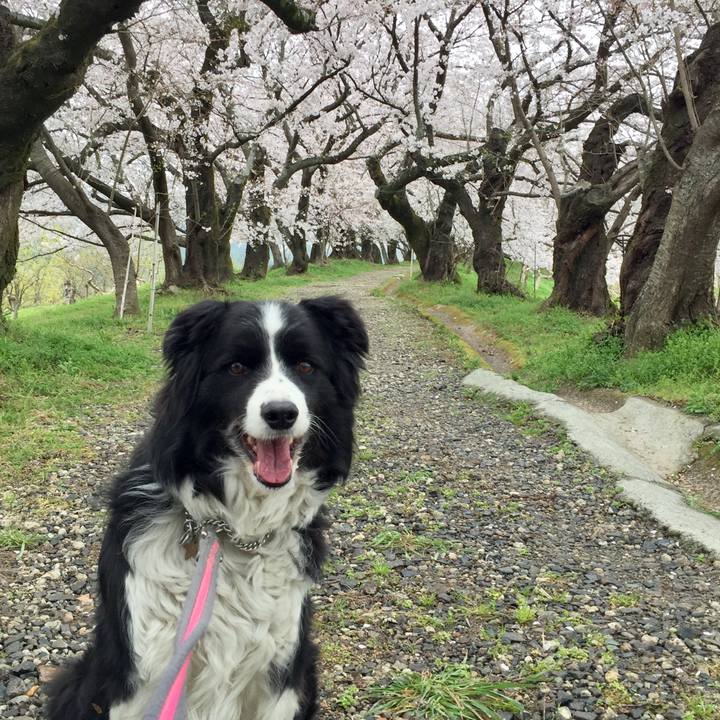 5e8b93c7 b5f4 4744 addd 40737bba4ae3 1585542039909