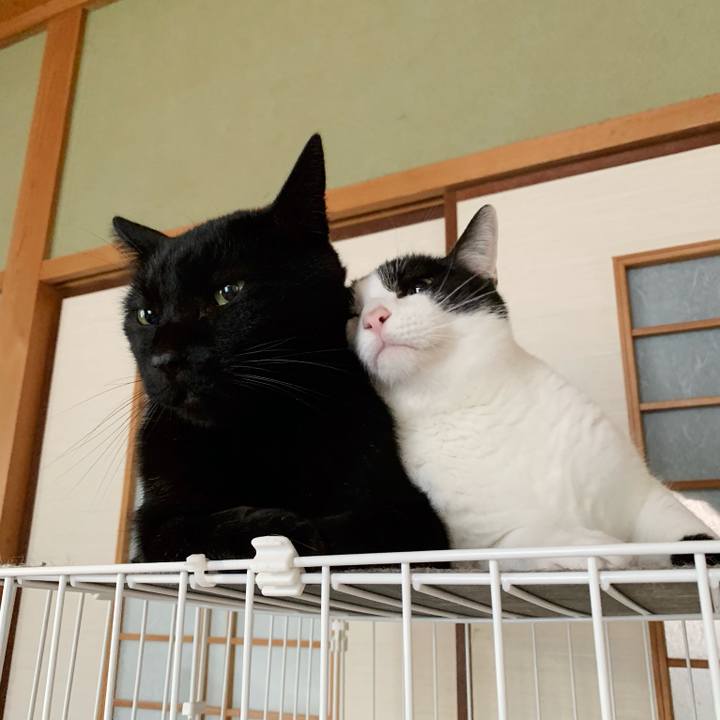 5e8b9fd5 1549 4a29 be91 abe676ea40a1 1545012107900