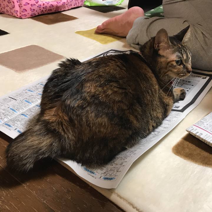 5e8bc650 d475 4ee0 8472 19cfcb1387b5 1510752533719