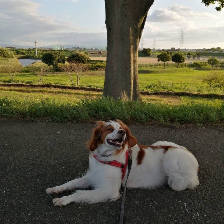 5e8be350 0959 4b1d 90ae 2f4d30cfaffc 1568632640339