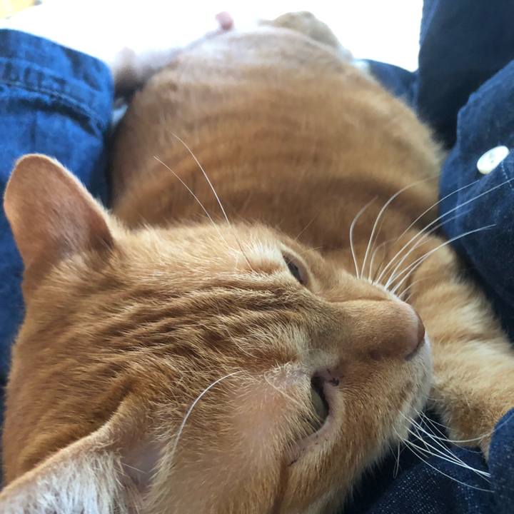 5e8bfdf4 c3d9 4fd3 a74c 81f2089578cd 1650679208082