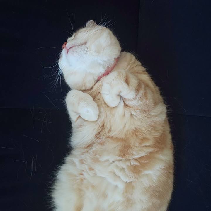 5e8c344c 00bb 4cd1 b443 69761c96998e 1555911550639