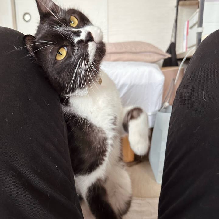 5e8c35d6 f21f 4bbe 870c c8247d030ade 1759549148938