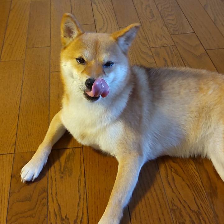 5e8c3ee0 d19d 4730 9d46 8bc48317d13d 1661470502704