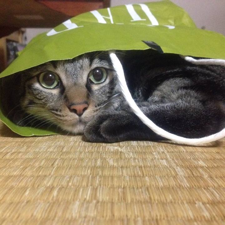 5e8c49da 8606 484a acd5 9ab175074042 1521720825813