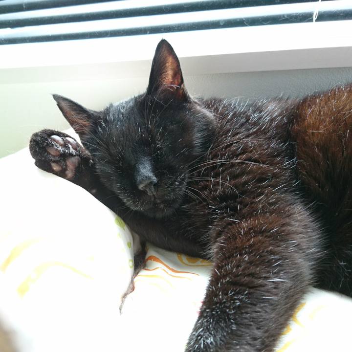 5e8c4b39 1736 4b39 a59e 1e4ab71c6929 1596690146055