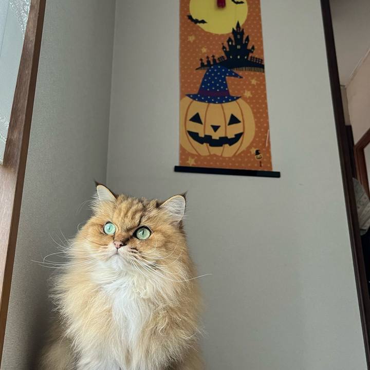 5e8c7d6f 6201 411d 9f3c 51072b932c16 1698356894535