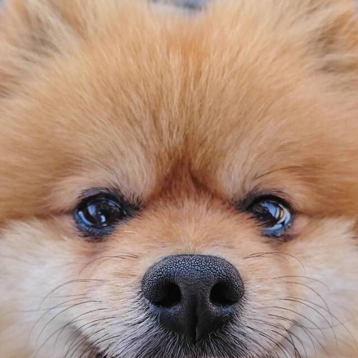 5e8ca053 49f9 4522 a96b a7960d311b61 1524405216684