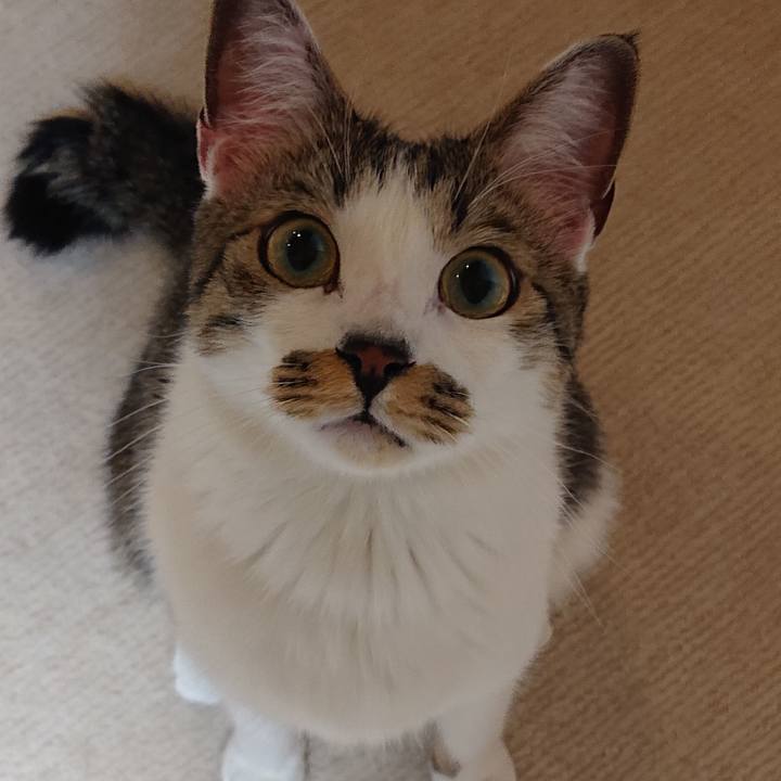 5e8ca255 f908 473f 81d7 1b5cf06cb2e2 1584116523019