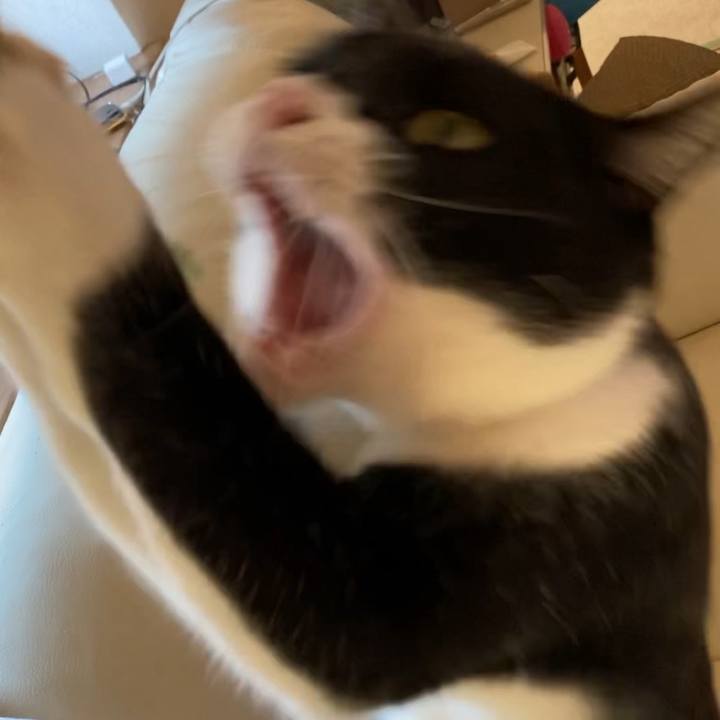 5e8cae77 5337 40f2 b0c4 75a79f5ee4b5 1640836827188