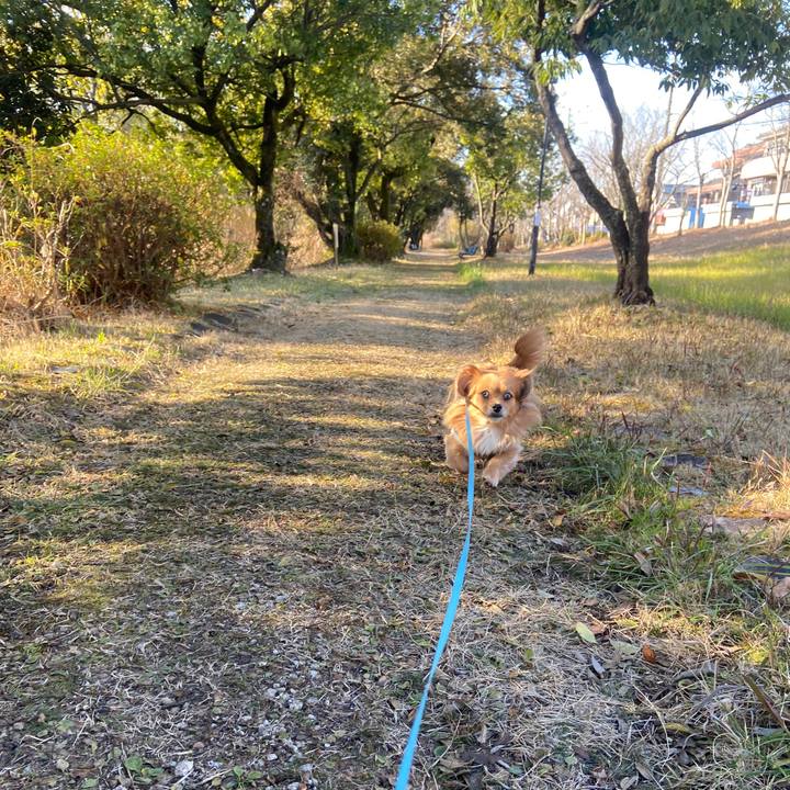 5e8cd6d9 7099 4cb9 82a3 7932ee767aee 1641689484961