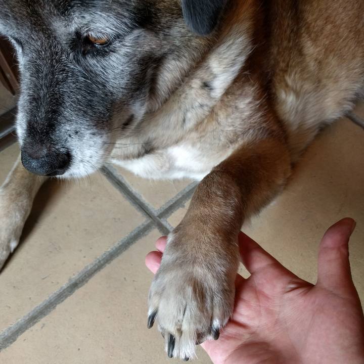 5e8cea46 1da3 419f 8058 7702bcf0150f 1527565060687